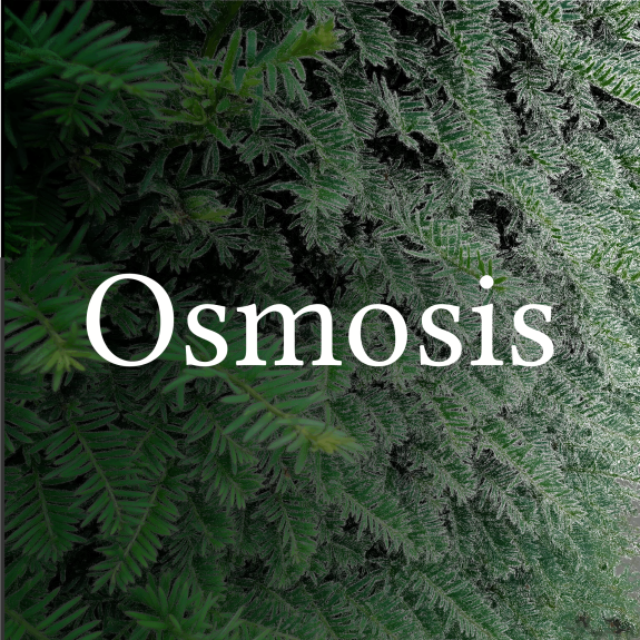 Osmosis